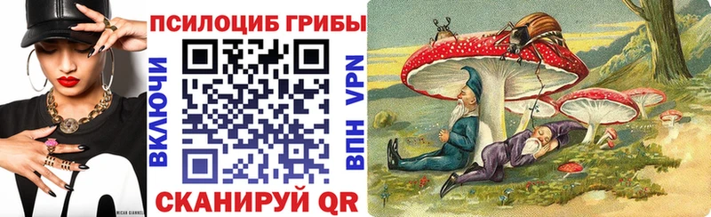 сколько стоит  Нижнекамск  Псилоцибиновые грибы MAGIC MUSHROOMS 